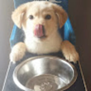 Meet your Posher, Juan